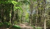 Randonnée Marche Butgenbach - A la découverte du Lac de Butgenbach - Photo 6