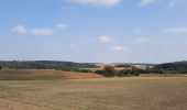 Tour Wandern Houyet - TOUR FAMENNE JOUR 6 - Photo 1