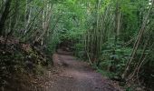 Trail Walking Notre-Dame-de-Bondeville - La bretêque-Isneauville-Houppeville - Photo 2