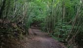 Excursión Senderismo Notre-Dame-de-Bondeville - La bretêque-Isneauville-Houppeville - Photo 2