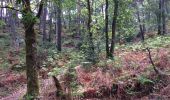 Tour Wandern Fontainebleau - Lescoussins de lutins - Photo 1