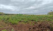 Trail Walking Esneux - mon E d'Esneux - Photo 12
