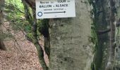 Trail Walking Sewen - Circuit lac d'alfeld / ballon d'Alsace  - Photo 19