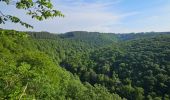 Trail Walking La Roche-en-Ardenne - A la découverte de Maboge 🥾 - Photo 10