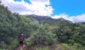Tour Wandern Pourrières - Pourcieux - Mt. Olympe - Rocher de Onze Heures - Photo 3