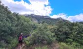 Excursión Senderismo Pourrières - Pourcieux - Mt. Olympe - Rocher de Onze Heures - Photo 3