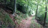 Trail Walking Barèges - BAREGES le tour des plateaux G4 reco  3264577 - Photo 3