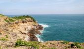 Trail Walking La Trinité - Presqu'île de la Caravelle 🌡️ - Photo 5