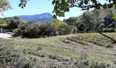 Trail Walking Saint-Marc-Jaumegarde - Le tour du barrage : vérifications - Photo 2