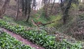 Tour Wandern Lüttich - montée bois de St Jacques . traversée par sart aux fraises . descente ruisseau de kinkempois - Photo 2