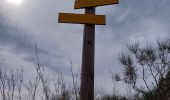 Percorso Marcia Port-Vendres - cospron - Photo 2