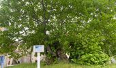 Trail Walking Pied-de-Borne - Le tour du chassezac - Photo 15