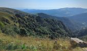 Trail Walking La Bresse - Le Hohneck et ses lacs d'altitude - Photo 6