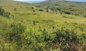 Excursión Senderismo Sangatte - Cap Blanc nez (côte opale) 7km - Photo 17