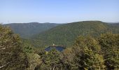 Trail Walking La Bresse - 24-08-24 Hohneck - Firstmiss - lac blanchemer - Hohneck - Photo 3