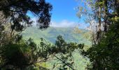 Tocht Stappen Ribeira da Janela - Levada  - Photo 5