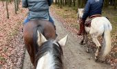 Trail Horseback riding Bastogne - Tripoux décembre 2022 - Photo 1