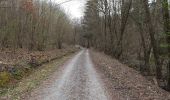 Randonnée A pied Ober-Mörlen - Wanderwege Vogeltal - Eichenblatt - Photo 9