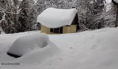 Tocht Sneeuwschoenen Cornimont - Raquettes   LE BRABANT - Photo 4