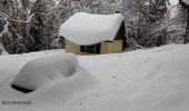 Excursión Raquetas de nieve Cornimont - Raquettes   LE BRABANT - Photo 4