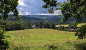 Tour Zu Fuß Moldautein - NS Semenec - Photo 9