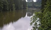 Tocht Te voet Waimes - Plezierwandeling 17 - Van het meer na de bronnen van de Quarreux - Photo 3