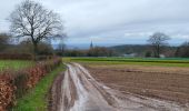 Randonnée Marche Manhay - Deux Rys 120423 - Photo 11