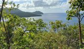 Excursión Senderismo Les Anses-d'Arlet - Grande Anse - Cap Salomon - Photo 4