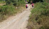 Trail Walking Ferrières-Poussarou - Crêtes du Matas - Photo 5