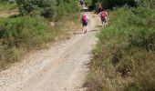 Percorso Marcia Ferrières-Poussarou - Crêtes du Matas - Photo 5