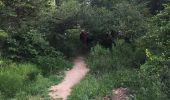 Trail Walking Peille - Mont Agel - Photo 10