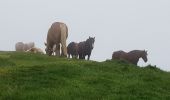 Tour Wandern Arbéost - boucle au Soulor - Photo 8