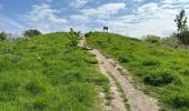 Trail Walking London Borough of Camden - Londres canaux et Tamise 23 km - Photo 20