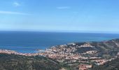 Trail Walking Banyuls-sur-Mer - Banyuls sur Mer, chapelle notre Dame de la Salette - Photo 4