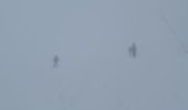 Percorso Racchette da neve Aragnouet - Piau-Engaly: Le Col A/R (Brouillard) - Photo 1