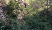 Trail Walking Saint-Pierre-d'Entremont - col cucheron grande Som_col de Bevinant_Col de fret - Photo 1