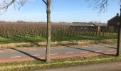 Randonnée Marche Steenbergen - Nieuw Vossemeer, langs de Eendracht - Photo 4