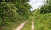 Tour Zu Fuß Herford - Bad Salzuflen Rundweg 9 - Photo 8