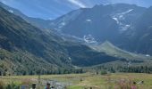 Trail Walking Saint-Gervais-les-Bains - 4ieme jour les chalets de Miage - Photo 7