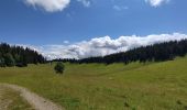 Tour Wandern Les Rousses - Mont Sala vue sur le Leman - Photo 5