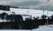 Trail Snowshoes Sainte-Croix - Col des Etroits Le Chasseron CAF - Photo 9