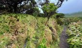 Excursión Senderismo Fajã Grande - Le tour des lacs de cratère à Flores - Photo 11