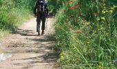 Tocht Stappen Colle di Val d'Elsa - CR_Francigena_DD_40_Colle-Di-Val-D-Elsa_Monteriggioni_20230522 - Photo 4