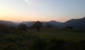 Percorso Arrampicata su alberi Duilhac-sous-Peyrepertuse - Cathare 4 Duilhac sous P.  Bugarach - Photo 2
