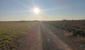 Trail Walking Valensole - plateau de valensole . ravin des cognets . ravin de la combe  - Photo 14