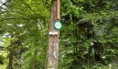 Tour Wandern Celles-sur-Plaine - celles sur plaine - Photo 5