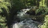 Trail Walking Pommeuse - La Promenade du Grand Morin et la Cascade de l'Aubetin - Photo 1