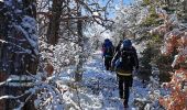 Tour Wandern Rousset - La Viste Par Clos Morel - Photo 6