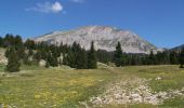 Excursión Senderismo Saint-Agnan-en-Vercors - Le Grand Veymont - Photo 15