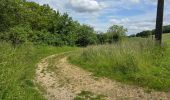 Excursión Senderismo Fontaine-les-Coteaux - Fontaine-les-coteaux - Bois de Beauvoir - Photo 12